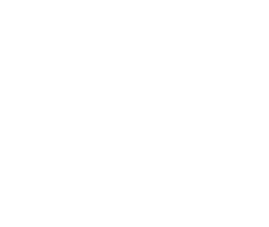 MasterVault Icon